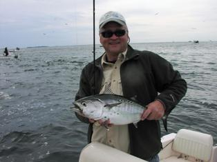 Race Point NY False Albacore