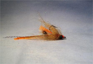 EP Spawning Shrimp Bonefish Fly