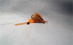 Tan Peterson's Spawning Shrimp