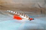 Bahama Mama BoneFish Special Fly