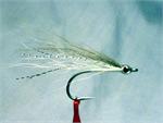 Dave's Albie Fly