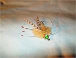 Merkin Crab Fly
