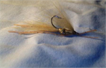 Tan Squimp Bonefish Fly Collection